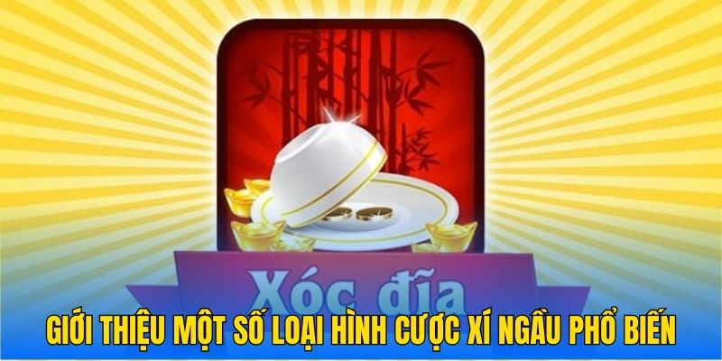 Giới thiệu một số loại hình cược xí ngầu phổ biến