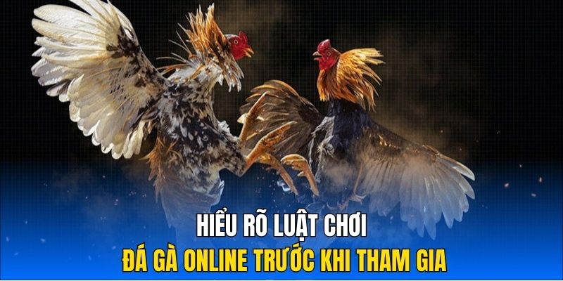 Hiểu rõ luật chơi đá gà online trước khi tham gia