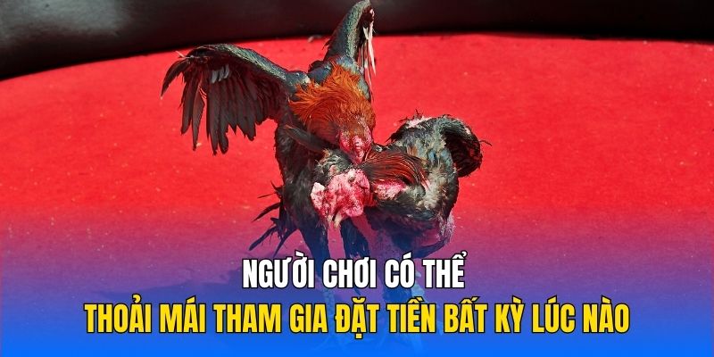 Người chơi có thể thoải mái tham gia đặt tiền bất kỳ lúc nào