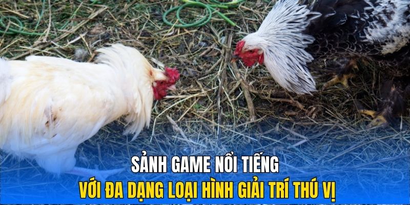 Sảnh game nổi tiếng với đa dạng loại hình giải trí thú vị