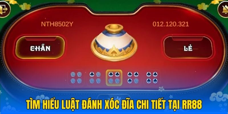 Tìm hiểu luật đánh xóc đĩa chi tiết tại RR88