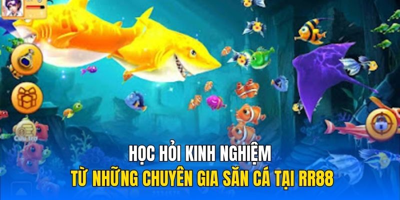 Học hỏi kinh nghiệm từ những chuyên gia săn cá tại RR88